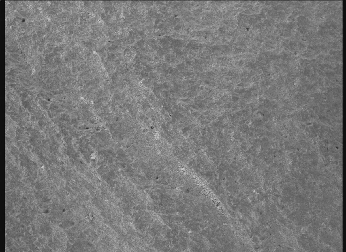 This image was taken by SHERLOC_WATSON onboard NASA's Mars rover Perseverance on Sol 1085