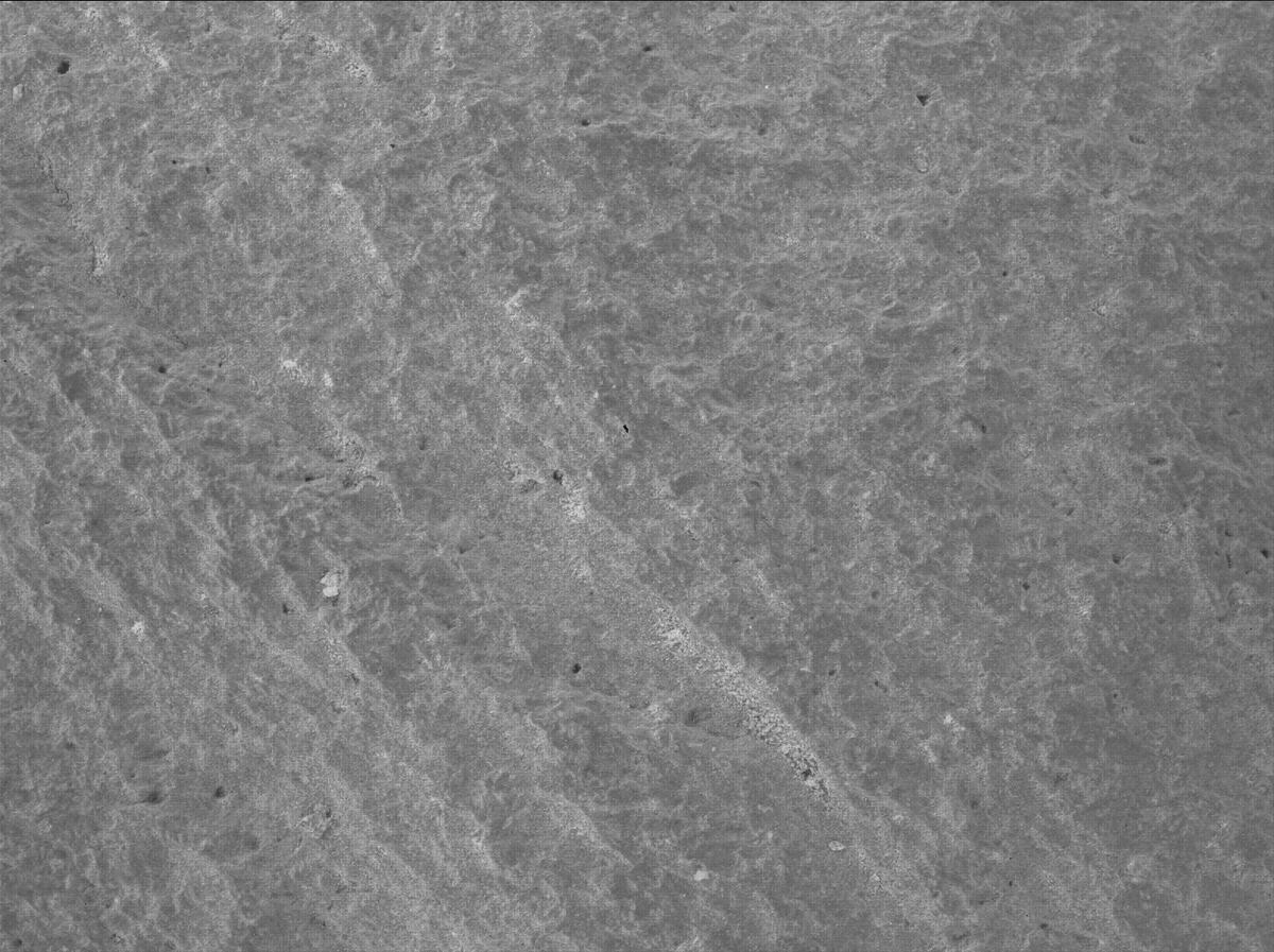 This image was taken by SHERLOC_WATSON onboard NASA's Mars rover Perseverance on Sol 1085