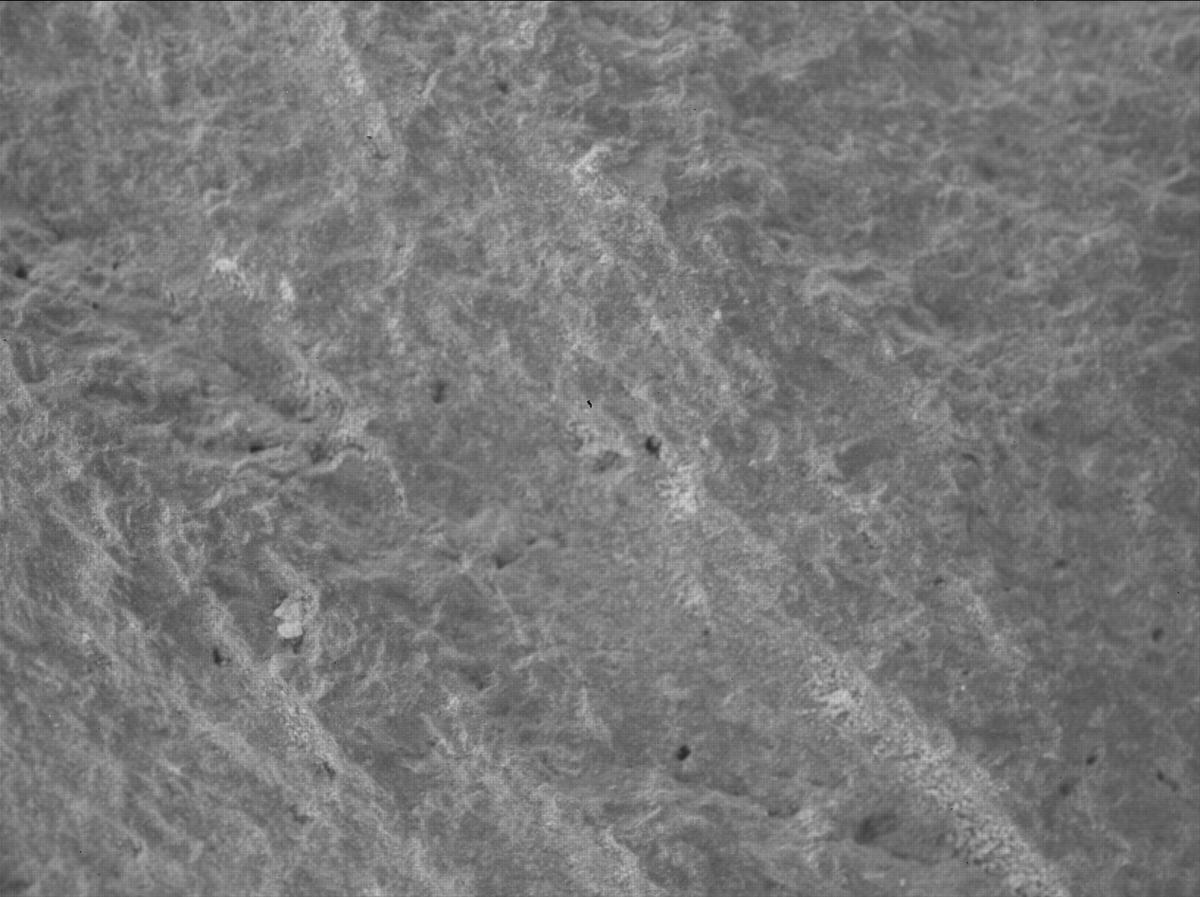 This image was taken by SHERLOC_WATSON onboard NASA's Mars rover Perseverance on Sol 1085