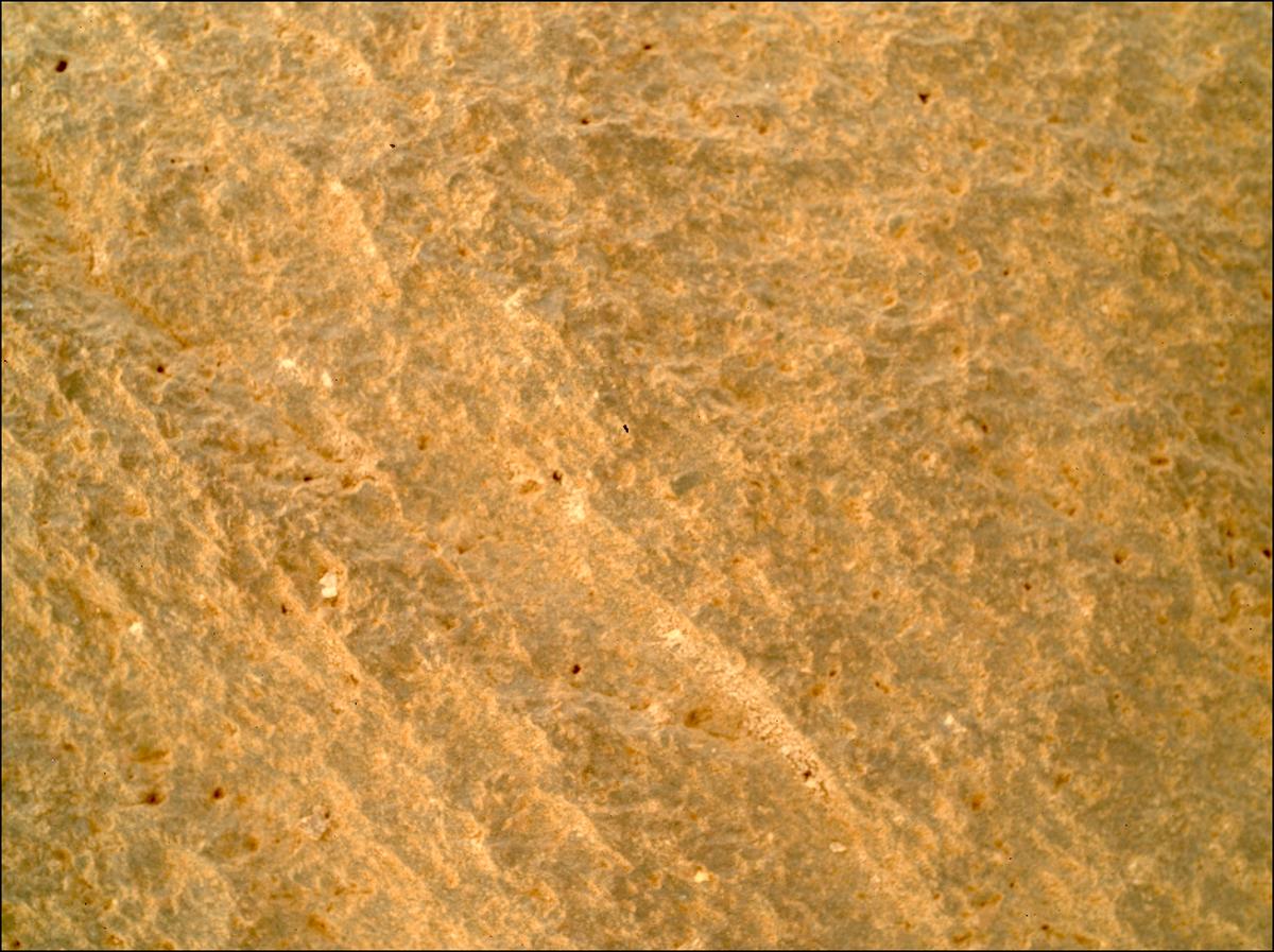 This image was taken by SHERLOC_WATSON onboard NASA's Mars rover Perseverance on Sol 1085