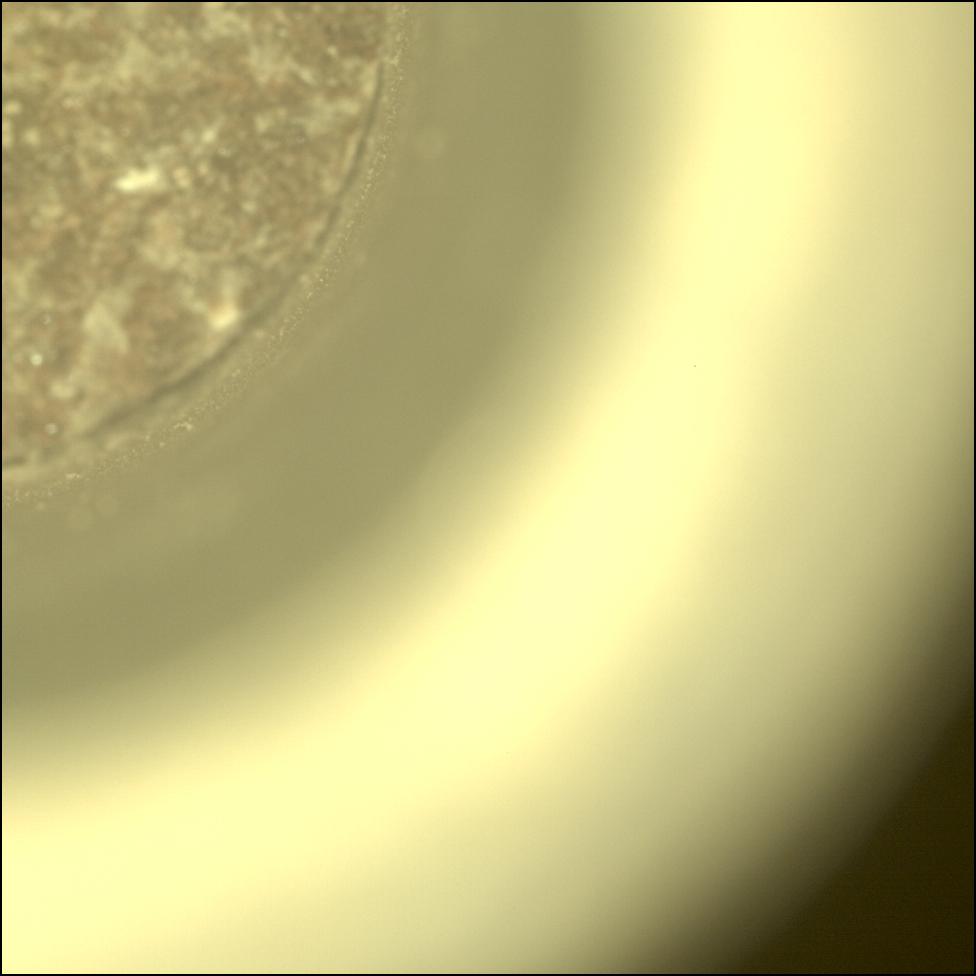 This image was taken by CACHECAM onboard NASA's Mars rover Perseverance on Sol 1088