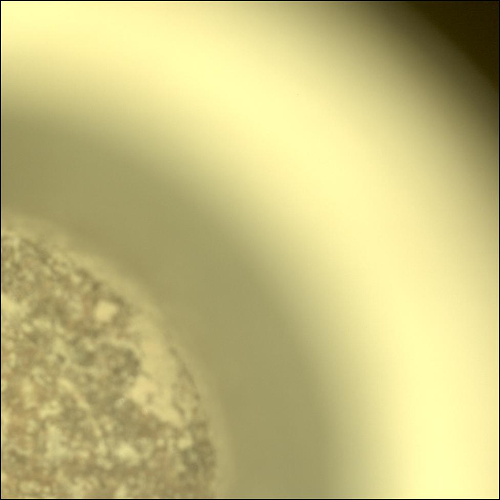 This image was taken by CACHECAM onboard NASA's Mars rover Perseverance on Sol 1088