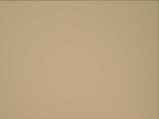 View image taken on Mars, Mars Perseverance Sol 1090: Left Mastcam-Z Camera