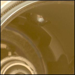 This image was taken by MCZ_LEFT onboard NASA's Mars rover Perseverance on Sol 1091
