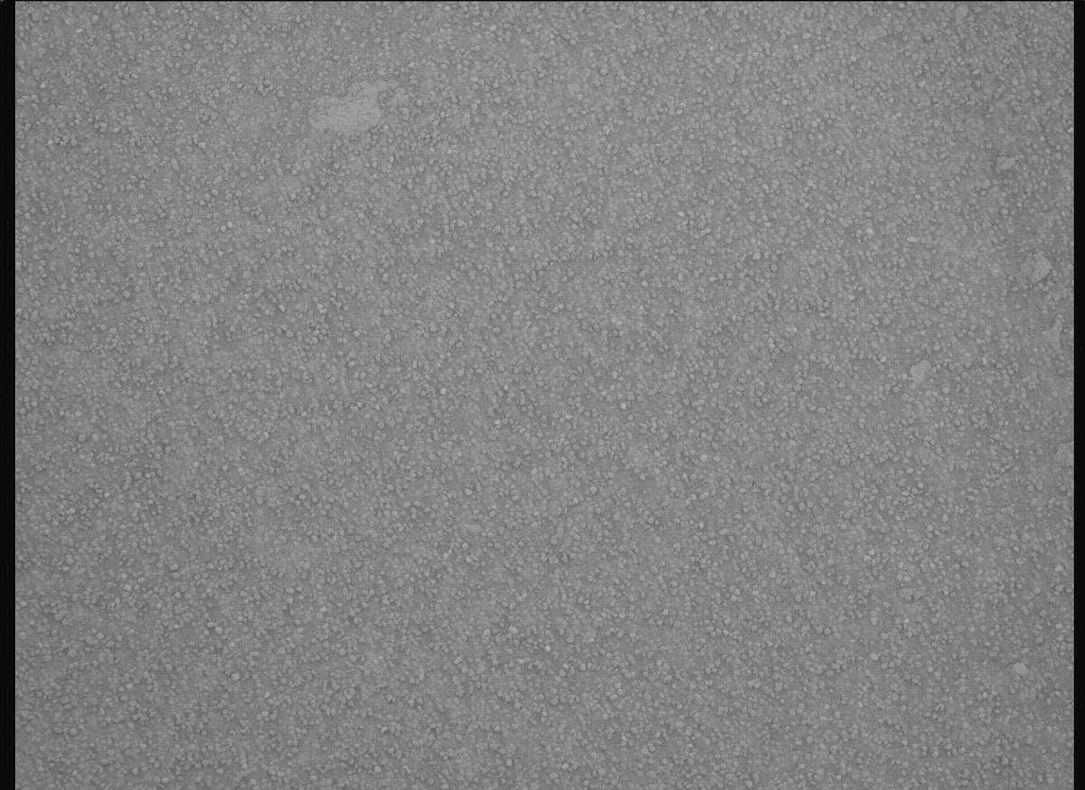 This image was taken by MCZ_RIGHT onboard NASA's Mars rover Perseverance on Sol 1096