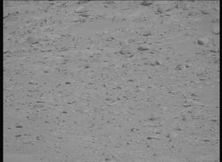 View image taken on Mars, Mars Perseverance Sol 1099: Left Mastcam-Z Camera