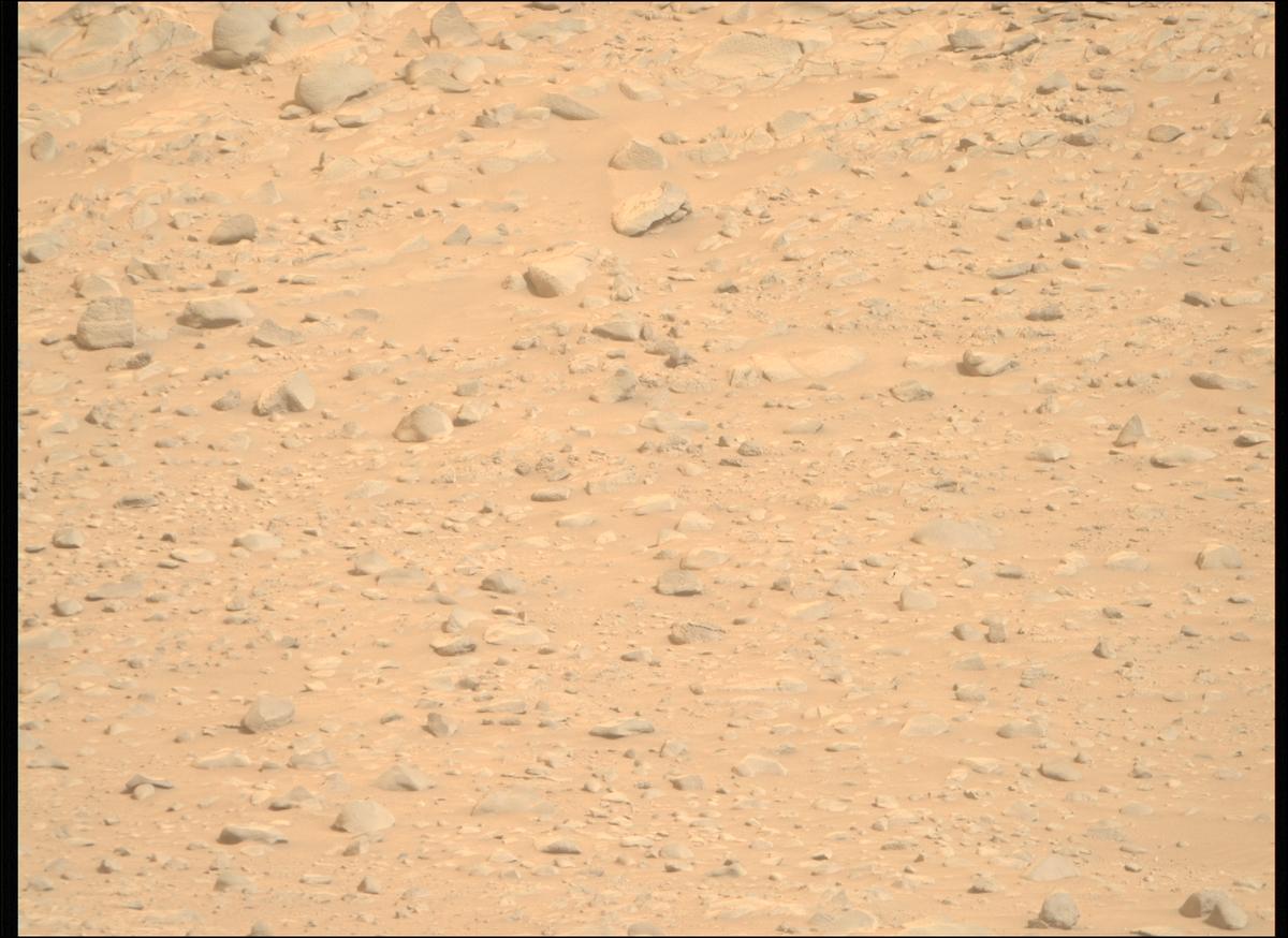 This image was taken by MCZ_RIGHT onboard NASA's Mars rover Perseverance on Sol 1099