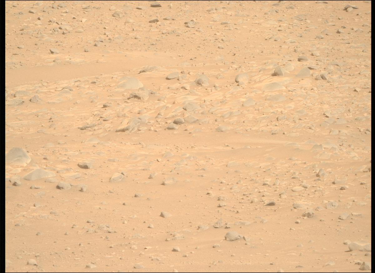 This image was taken by MCZ_RIGHT onboard NASA's Mars rover Perseverance on Sol 1099