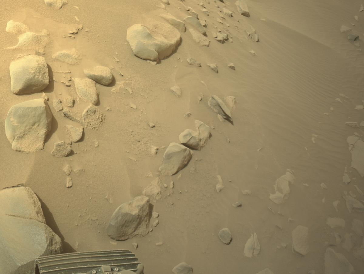 This image was taken by NAVCAM_RIGHT onboard NASA's Mars rover Perseverance on Sol 1100