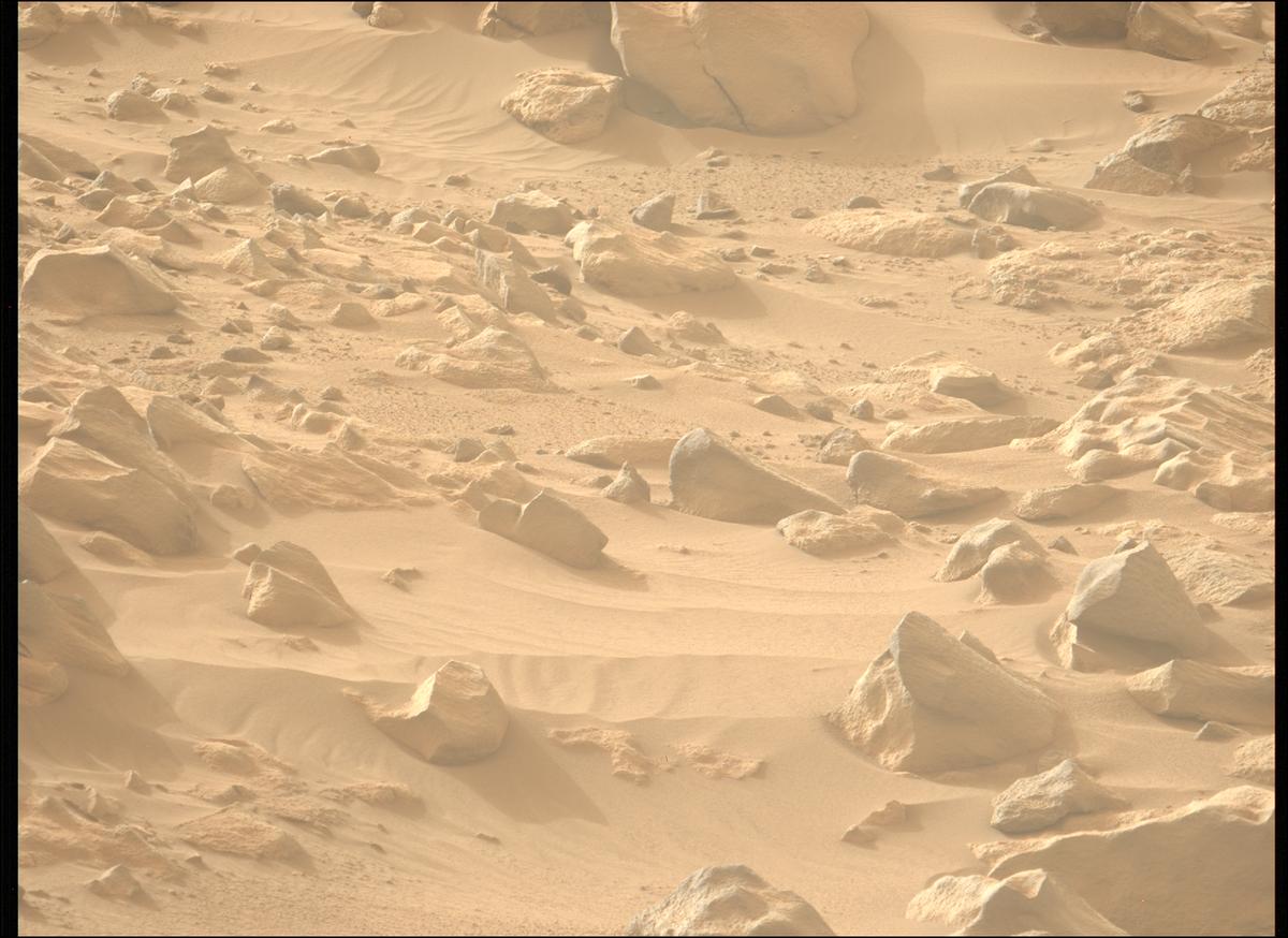 This image was taken by MCZ_LEFT onboard NASA's Mars rover Perseverance on Sol 1100