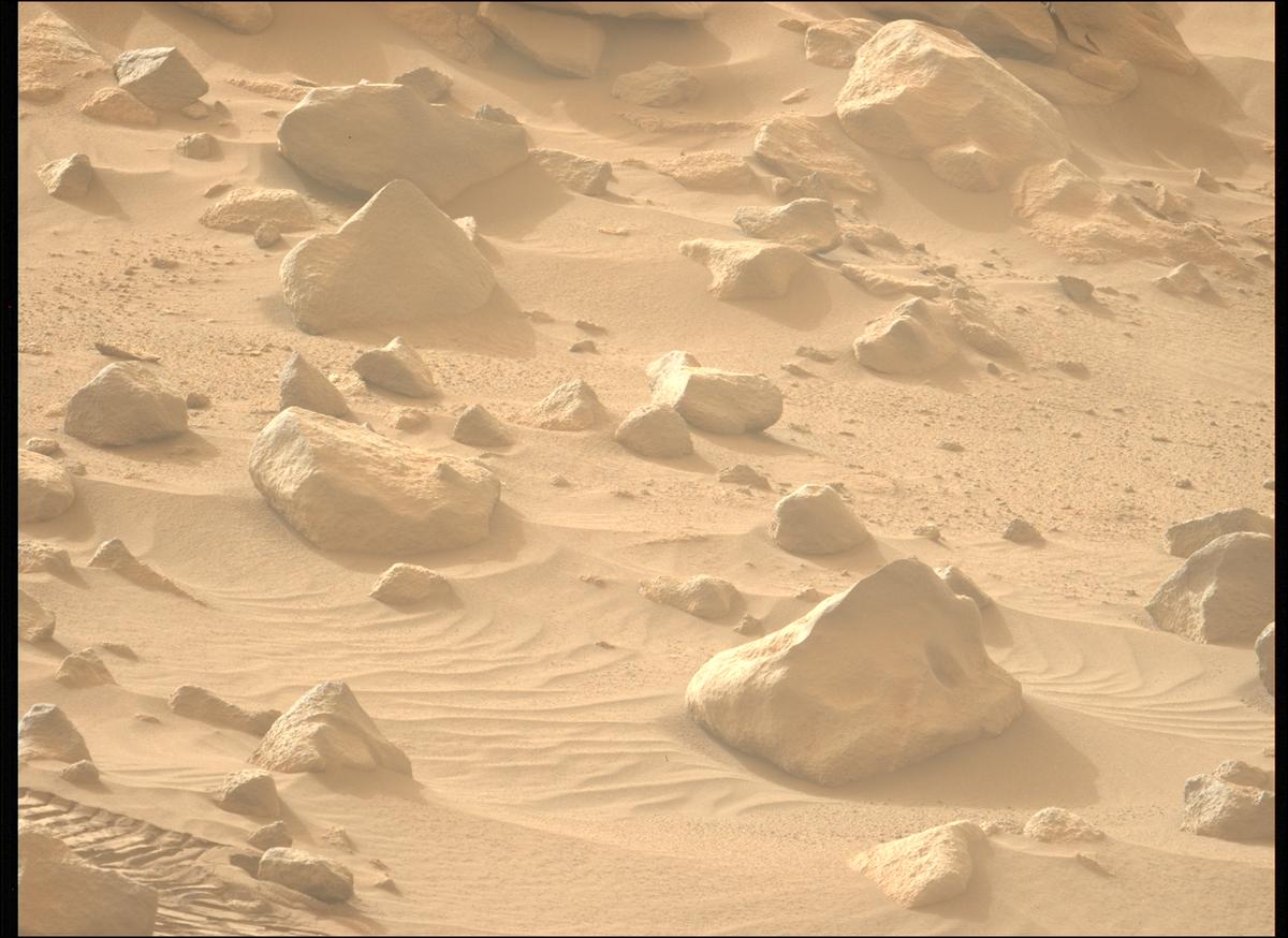 This image was taken by MCZ_LEFT onboard NASA's Mars rover Perseverance on Sol 1100