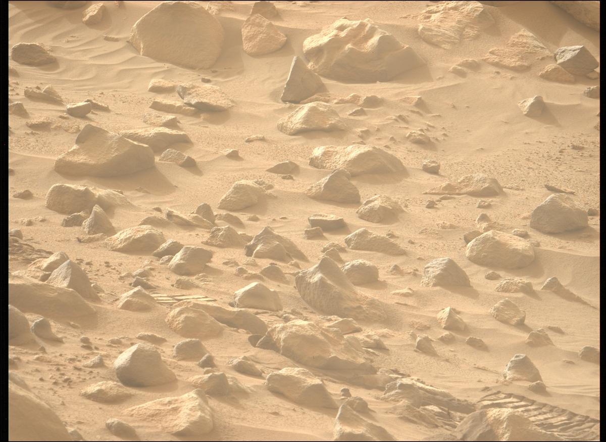 This image was taken by MCZ_LEFT onboard NASA's Mars rover Perseverance on Sol 1100