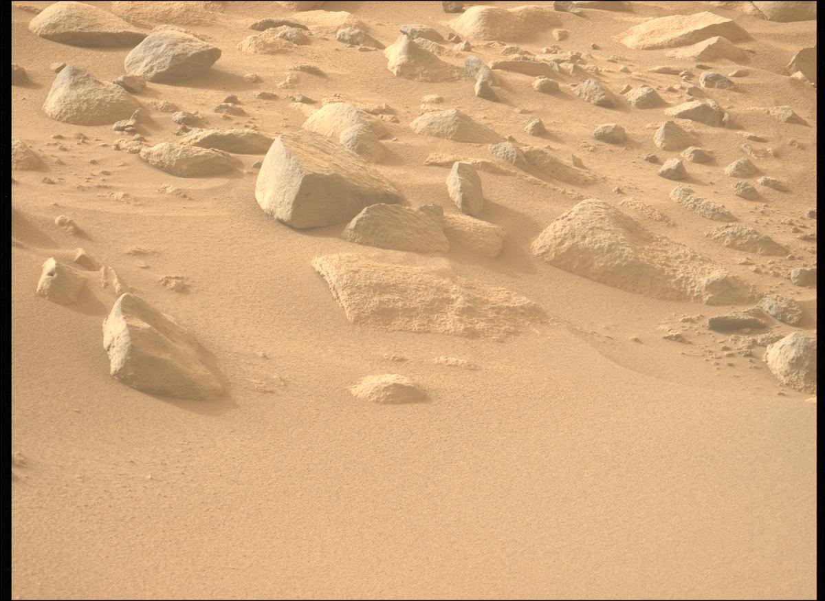 This image was taken by MCZ_LEFT onboard NASA's Mars rover Perseverance on Sol 1100