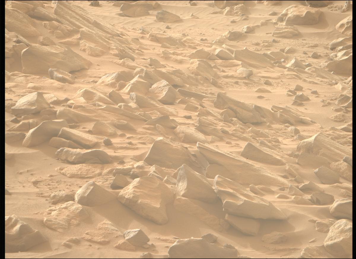This image was taken by MCZ_RIGHT onboard NASA's Mars rover Perseverance on Sol 1100