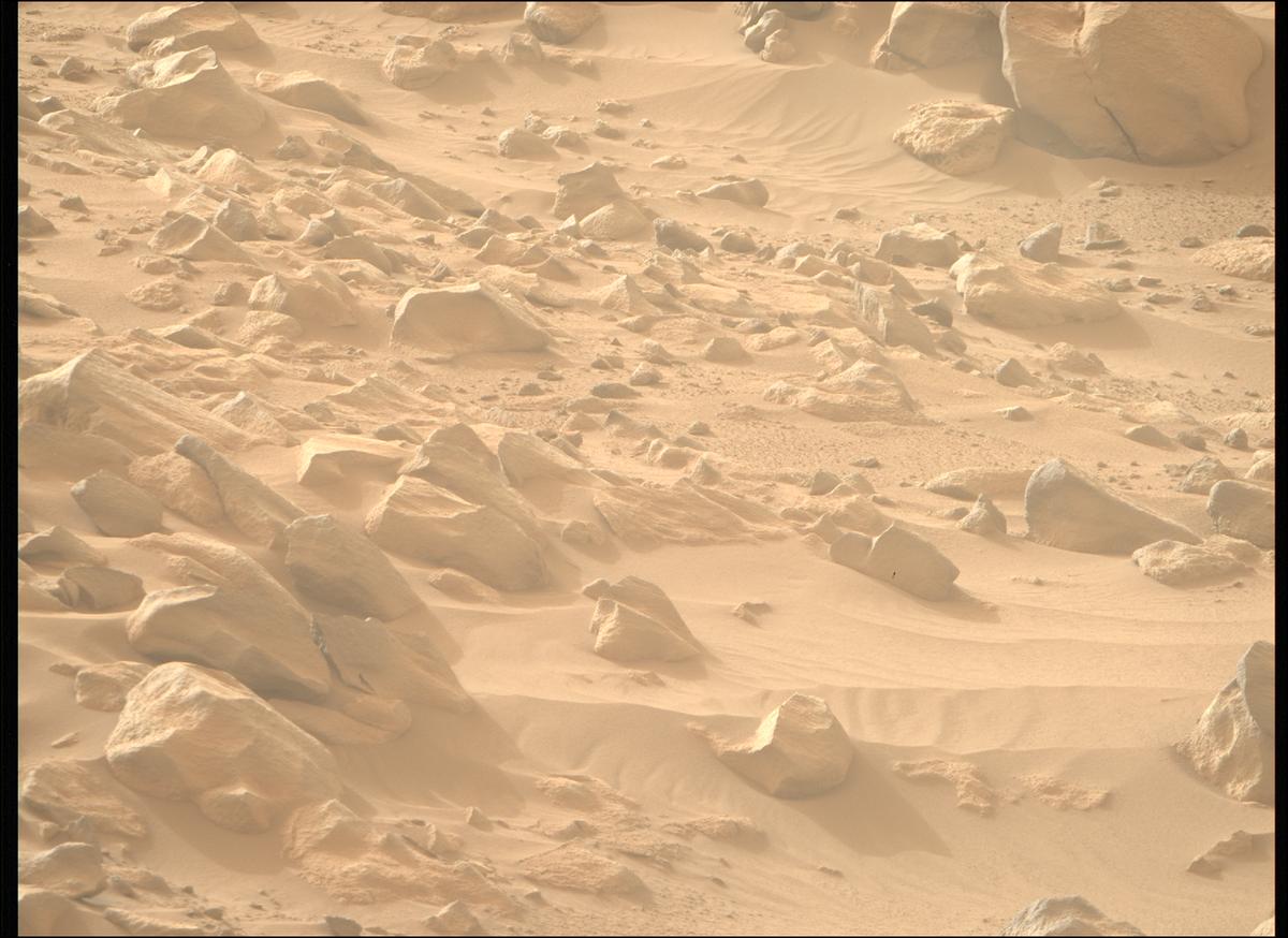 This image was taken by MCZ_RIGHT onboard NASA's Mars rover Perseverance on Sol 1100