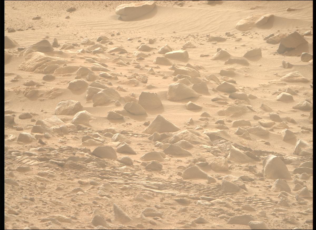 This image was taken by MCZ_RIGHT onboard NASA's Mars rover Perseverance on Sol 1100