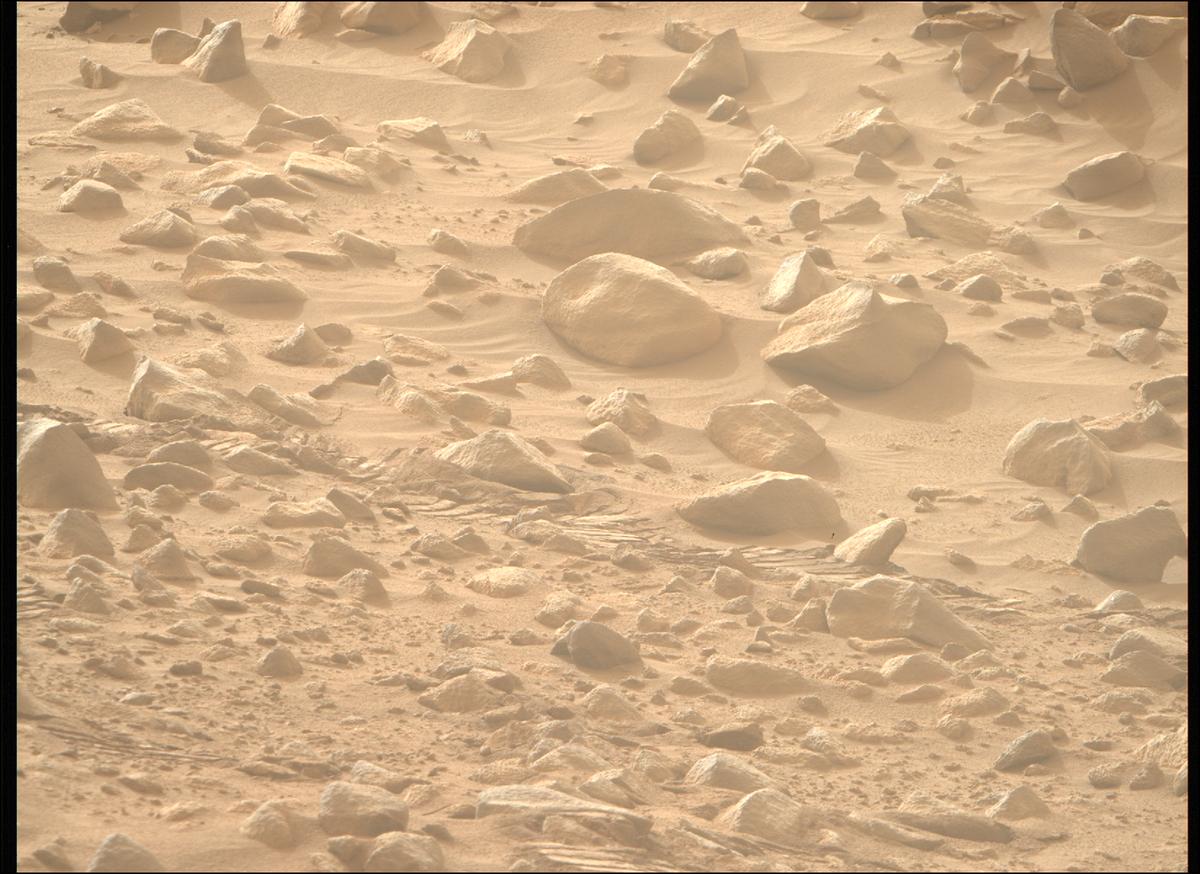 This image was taken by MCZ_RIGHT onboard NASA's Mars rover Perseverance on Sol 1100
