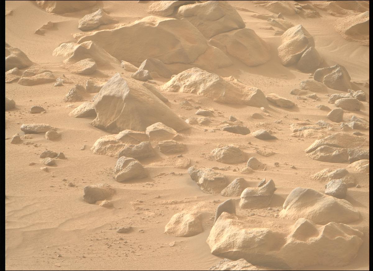 This image was taken by MCZ_RIGHT onboard NASA's Mars rover Perseverance on Sol 1100