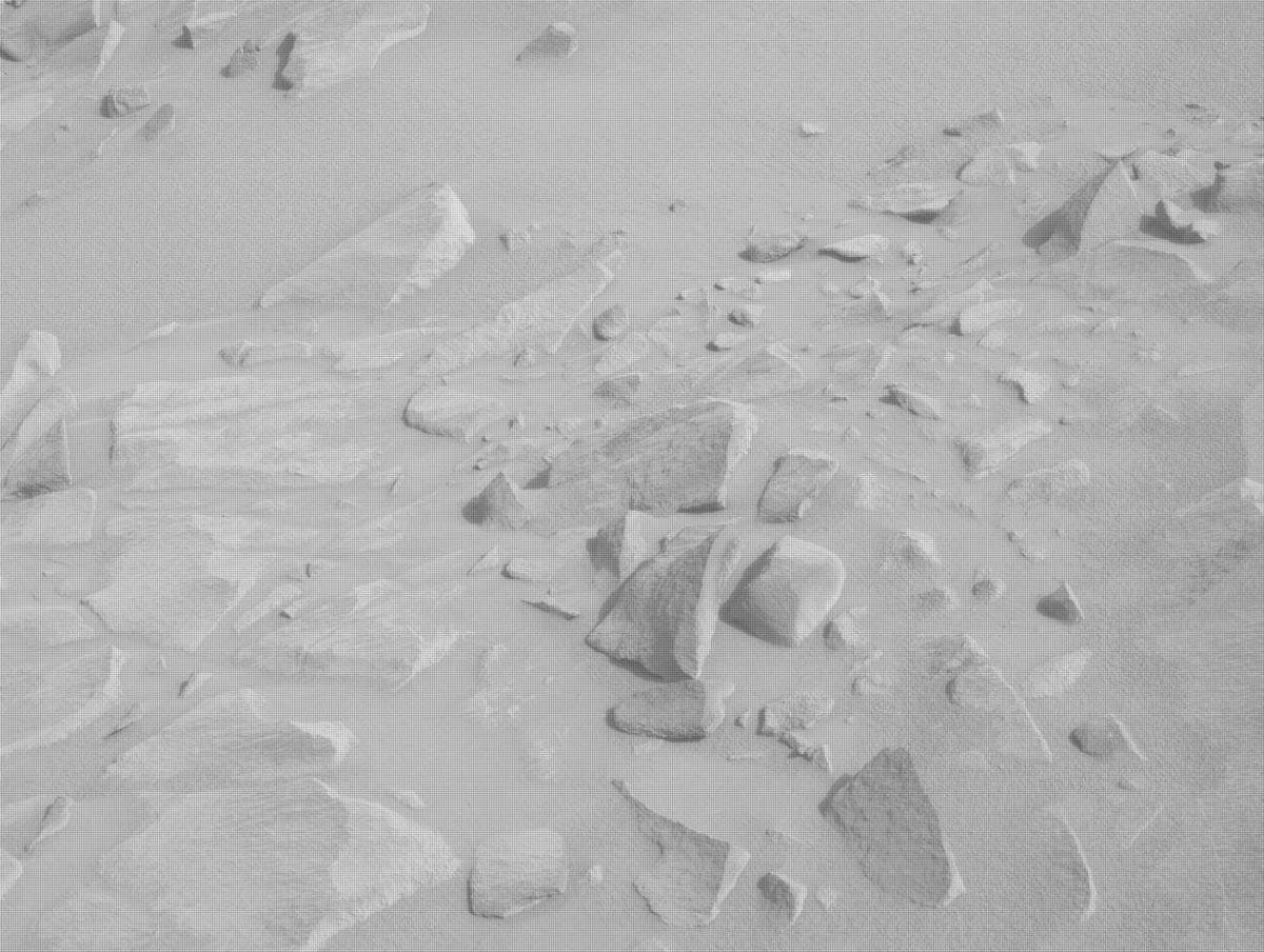 This image was taken by NAVCAM_LEFT onboard NASA's Mars rover Perseverance on Sol 1101