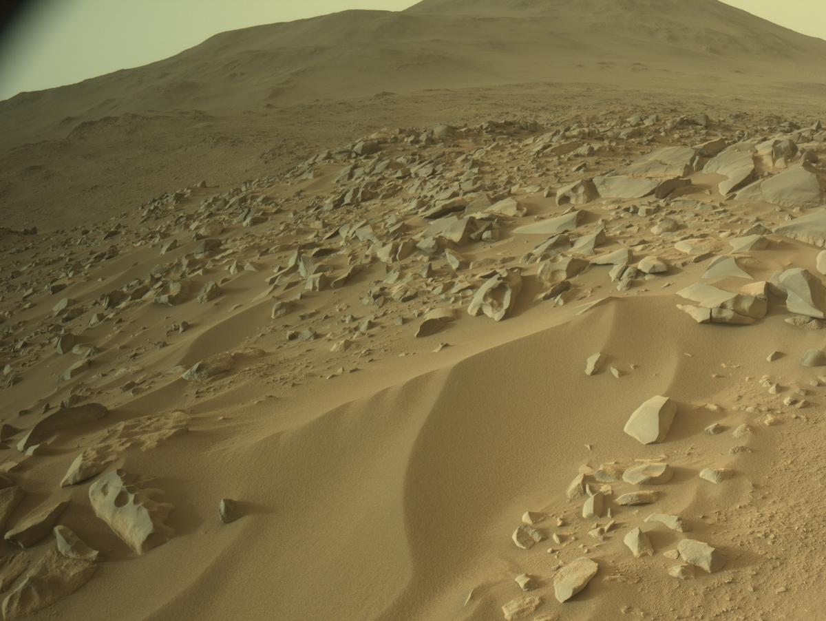 This image was taken by NAVCAM_RIGHT onboard NASA's Mars rover Perseverance on Sol 1101