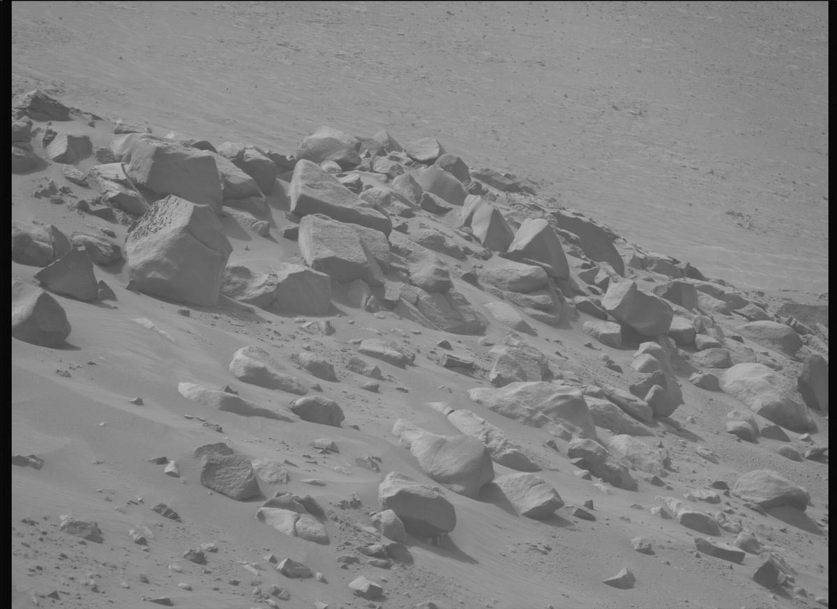 This image was taken by MCZ_LEFT onboard NASA's Mars rover Perseverance on Sol 1101