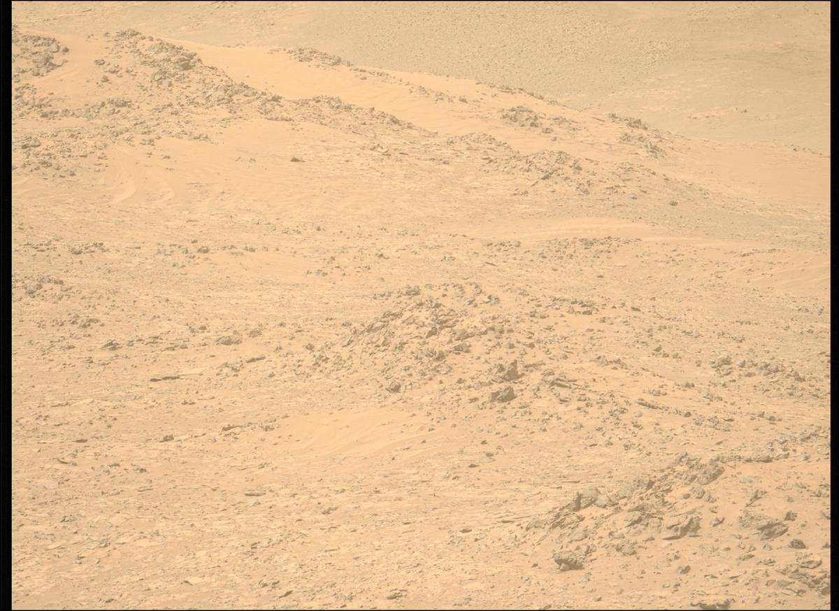 This image was taken by MCZ_LEFT onboard NASA's Mars rover Perseverance on Sol 1101