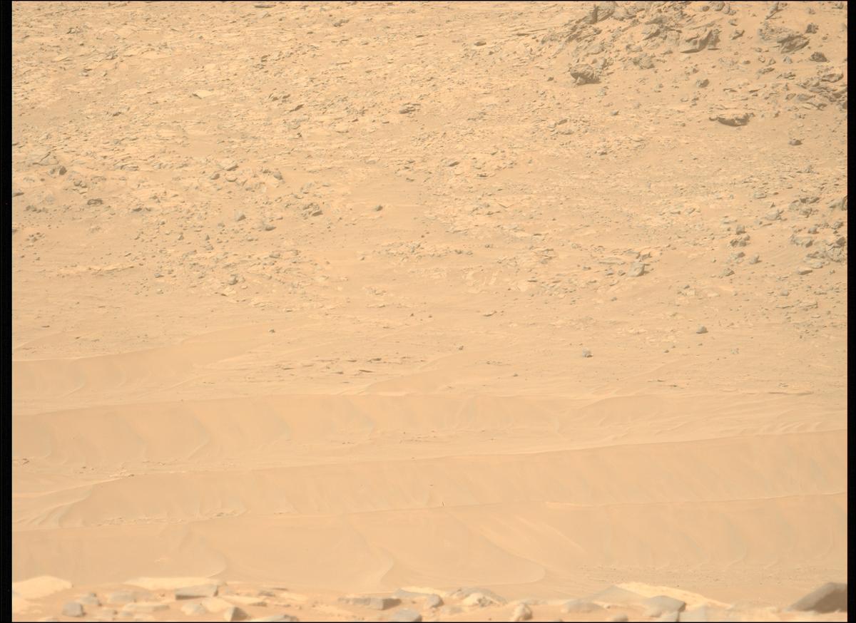 This image was taken by MCZ_LEFT onboard NASA's Mars rover Perseverance on Sol 1101