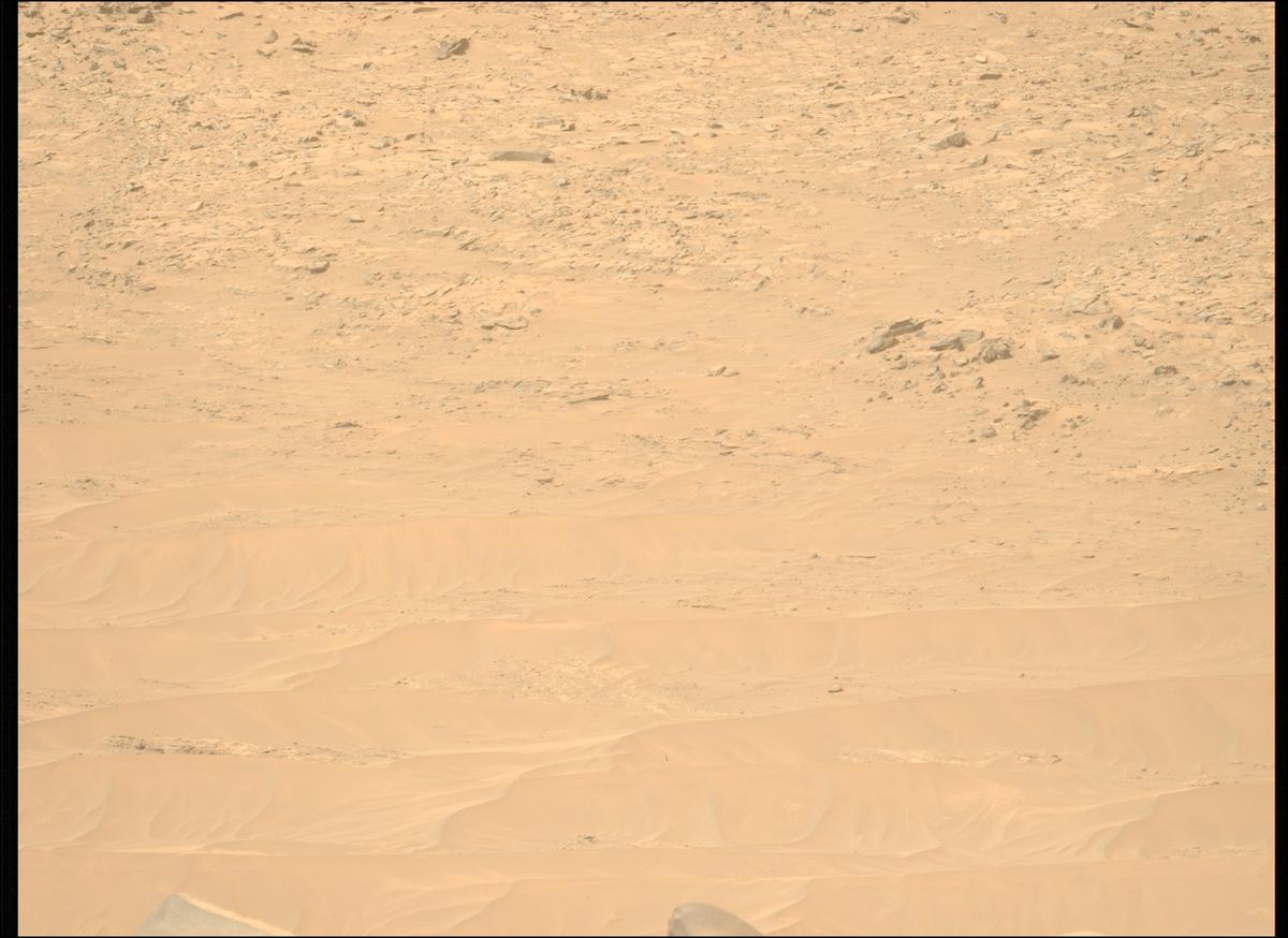This image was taken by MCZ_LEFT onboard NASA's Mars rover Perseverance on Sol 1101