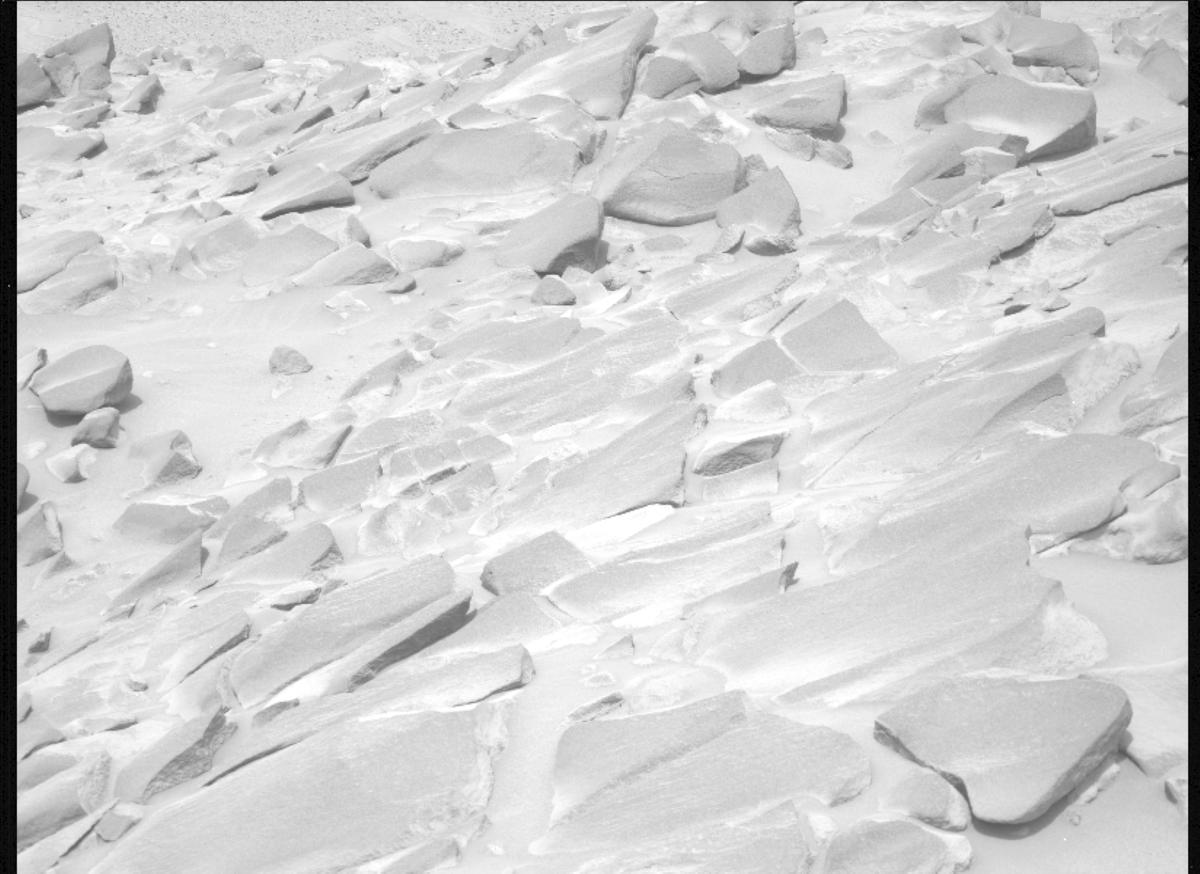 This image was taken by MCZ_LEFT onboard NASA's Mars rover Perseverance on Sol 1101