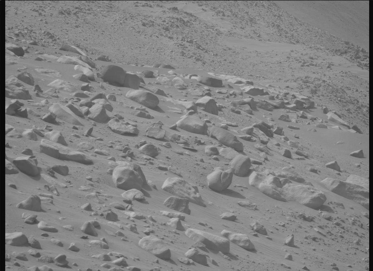 This image was taken by MCZ_RIGHT onboard NASA's Mars rover Perseverance on Sol 1101