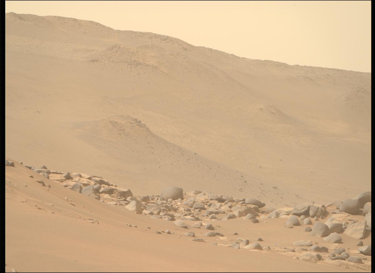 This image was taken by MCZ_RIGHT onboard NASA's Mars rover Perseverance on Sol 1101