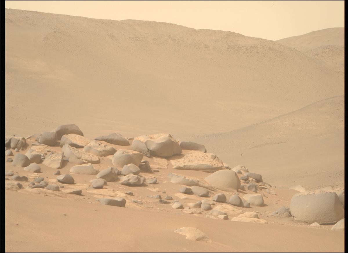 This image was taken by MCZ_RIGHT onboard NASA's Mars rover Perseverance on Sol 1101