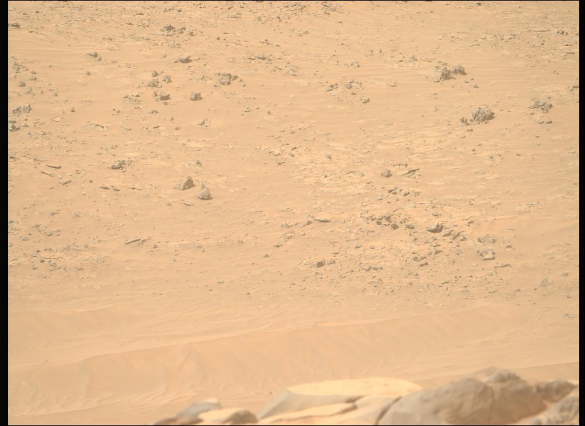 This image was taken by MCZ_RIGHT onboard NASA's Mars rover Perseverance on Sol 1101