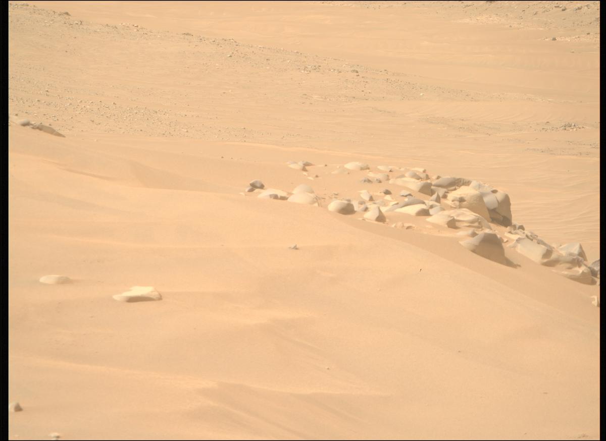 This image was taken by MCZ_RIGHT onboard NASA's Mars rover Perseverance on Sol 1101