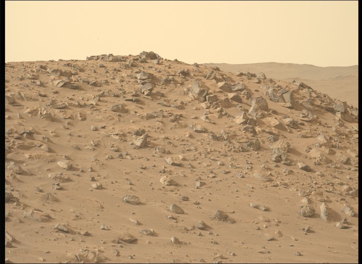 This image was taken by MCZ_LEFT onboard NASA's Mars rover Perseverance on Sol 1102