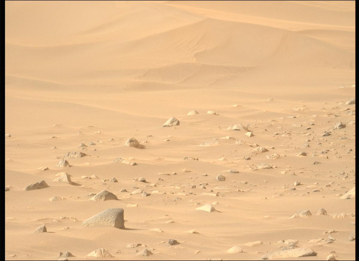 This image was taken by MCZ_LEFT onboard NASA's Mars rover Perseverance on Sol 1102