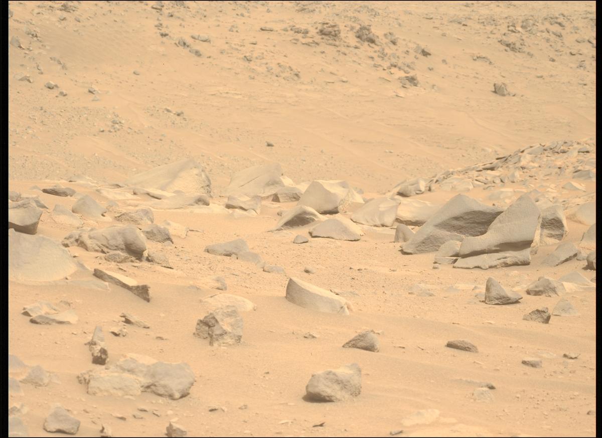 This image was taken by MCZ_LEFT onboard NASA's Mars rover Perseverance on Sol 1102