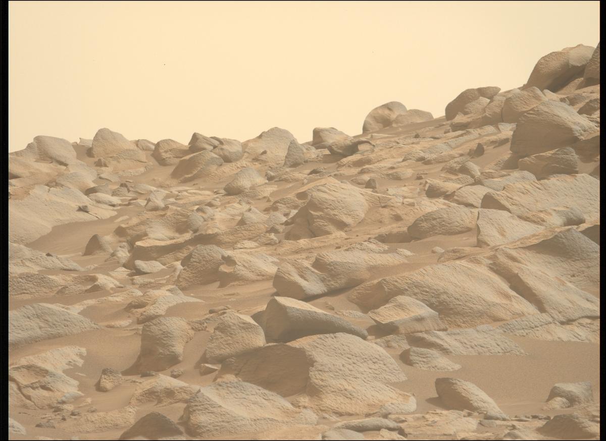 This image was taken by MCZ_LEFT onboard NASA's Mars rover Perseverance on Sol 1102