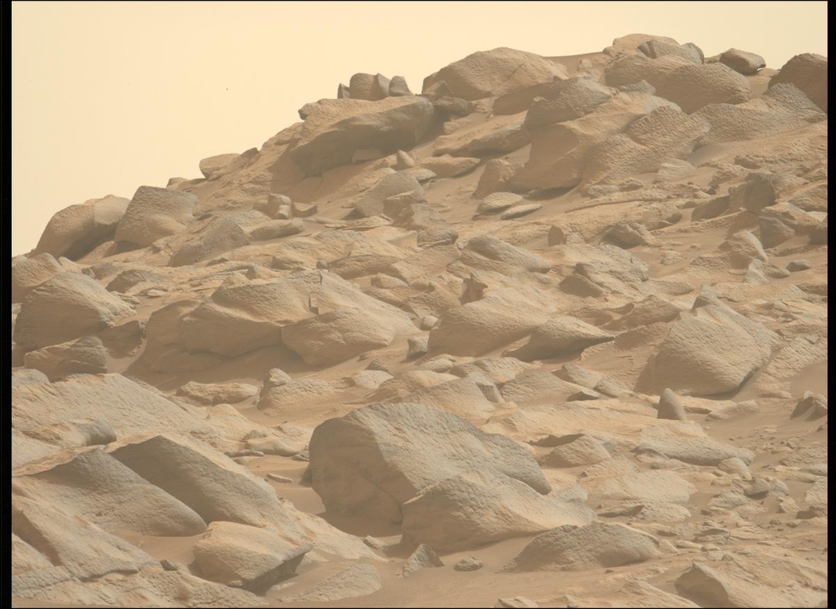 This image was taken by MCZ_LEFT onboard NASA's Mars rover Perseverance on Sol 1102