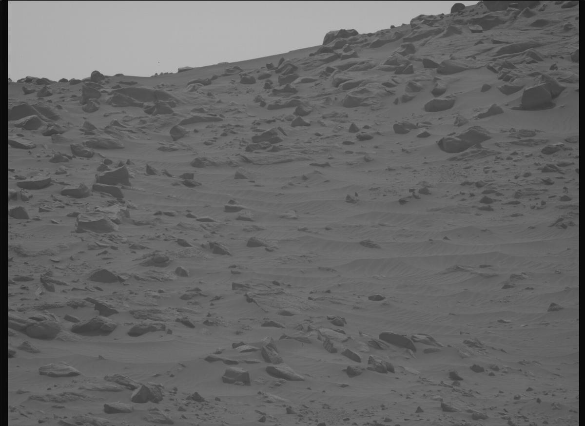 This image was taken by MCZ_LEFT onboard NASA's Mars rover Perseverance on Sol 1102