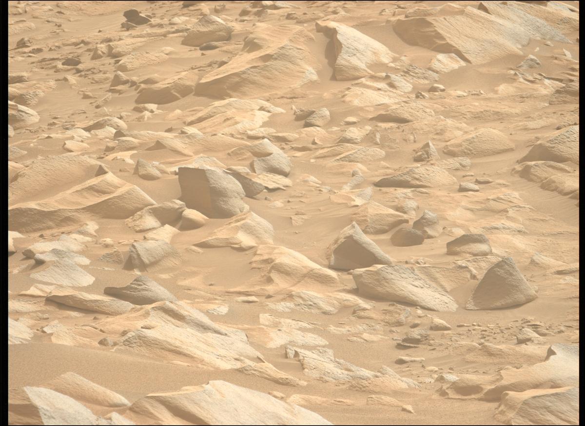 This image was taken by MCZ_LEFT onboard NASA's Mars rover Perseverance on Sol 1102