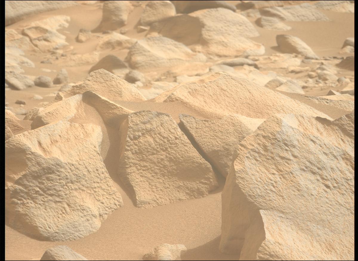 This image was taken by MCZ_LEFT onboard NASA's Mars rover Perseverance on Sol 1102