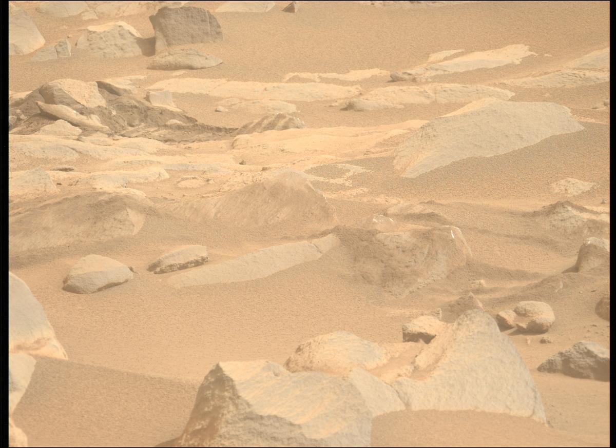 This image was taken by MCZ_LEFT onboard NASA's Mars rover Perseverance on Sol 1102