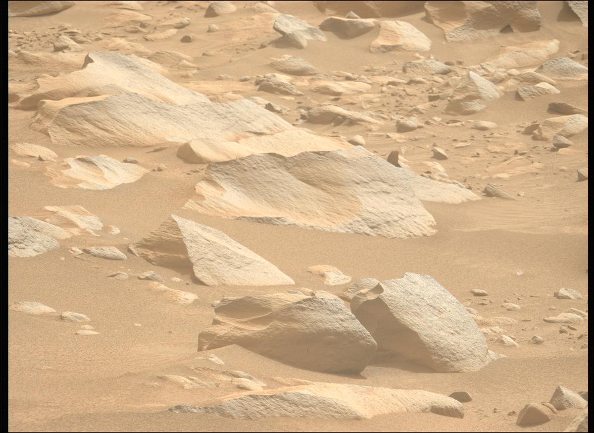 This image was taken by MCZ_LEFT onboard NASA's Mars rover Perseverance on Sol 1102