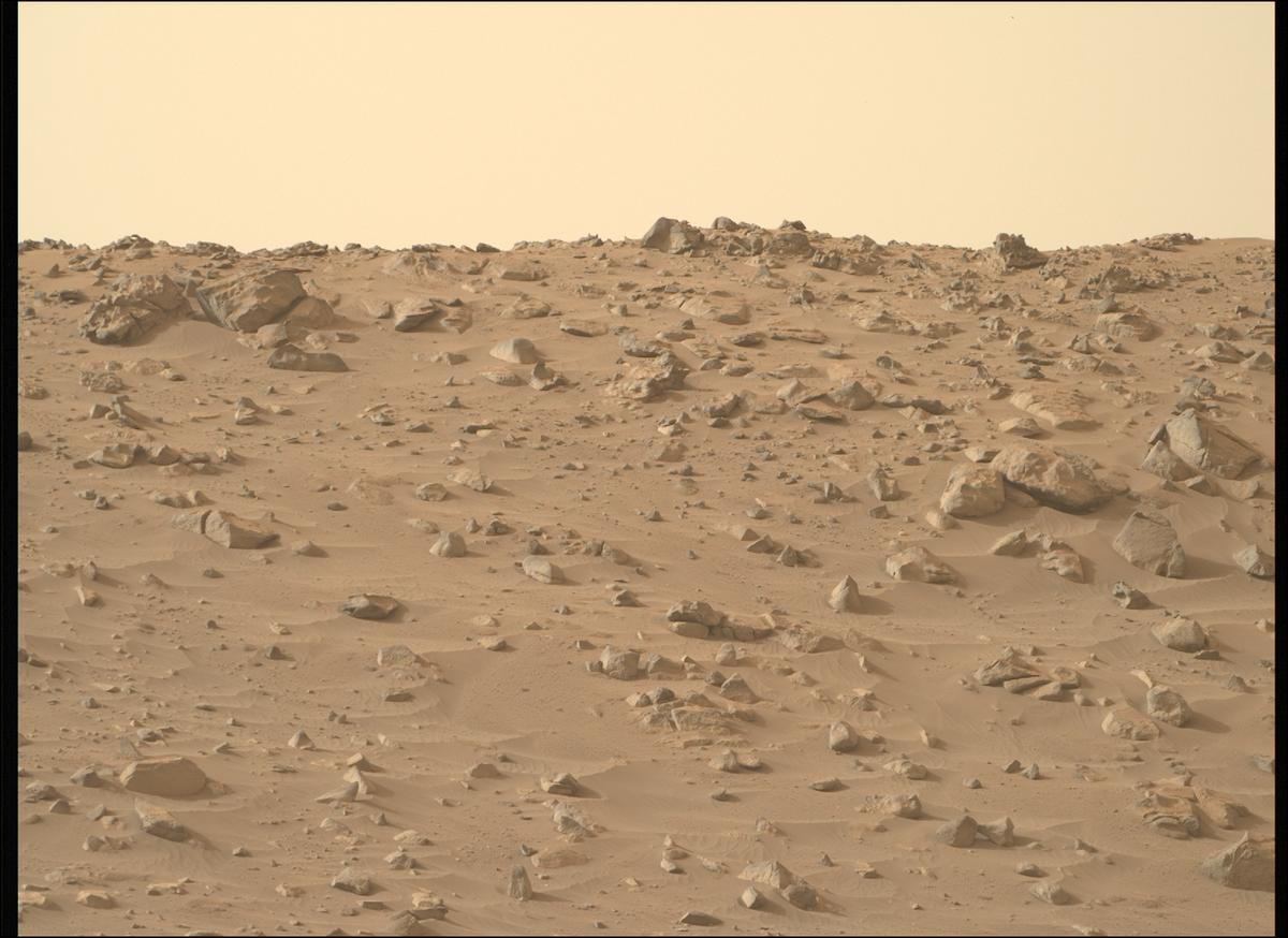 This image was taken by MCZ_RIGHT onboard NASA's Mars rover Perseverance on Sol 1102