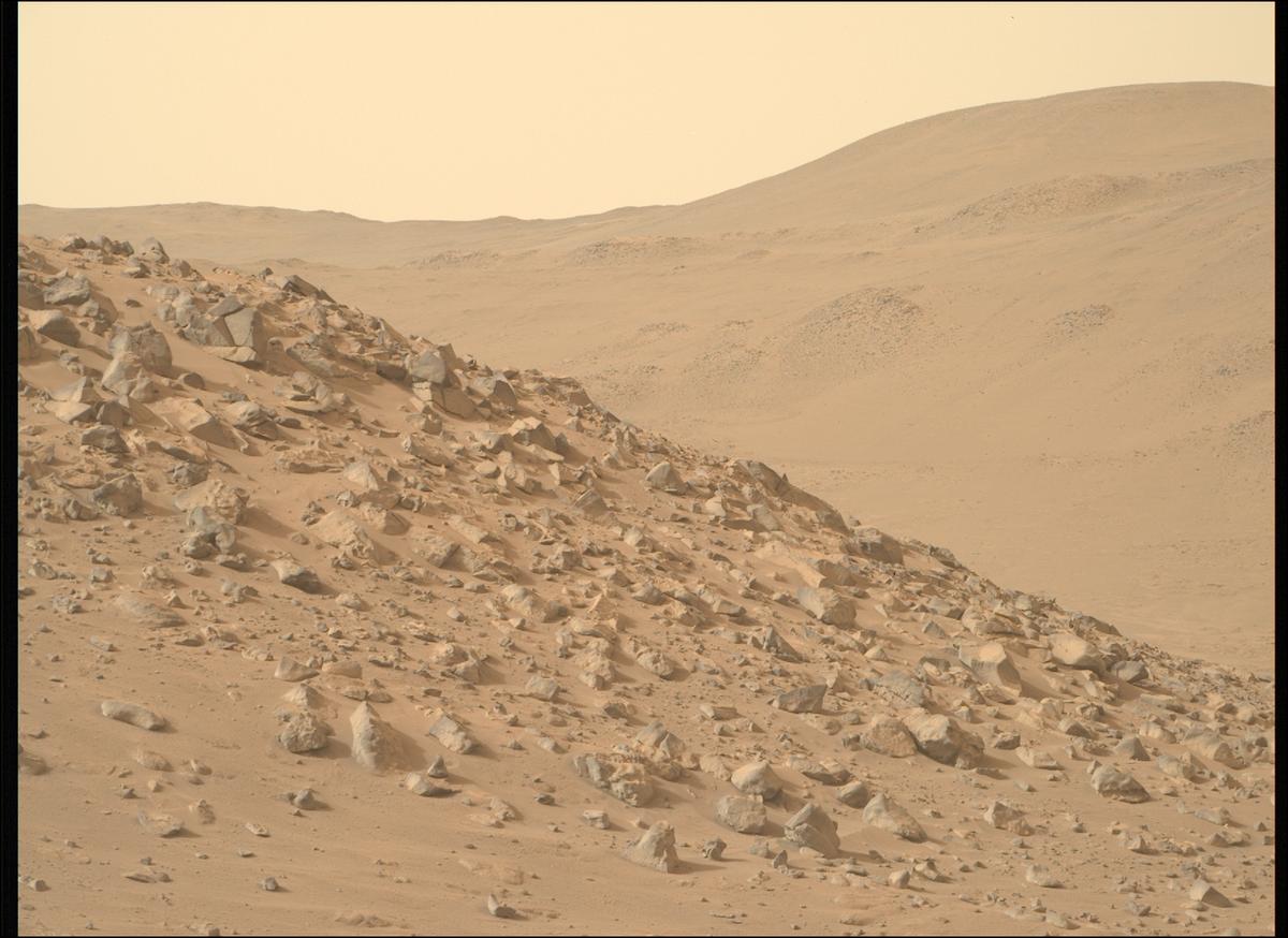 This image was taken by MCZ_RIGHT onboard NASA's Mars rover Perseverance on Sol 1102