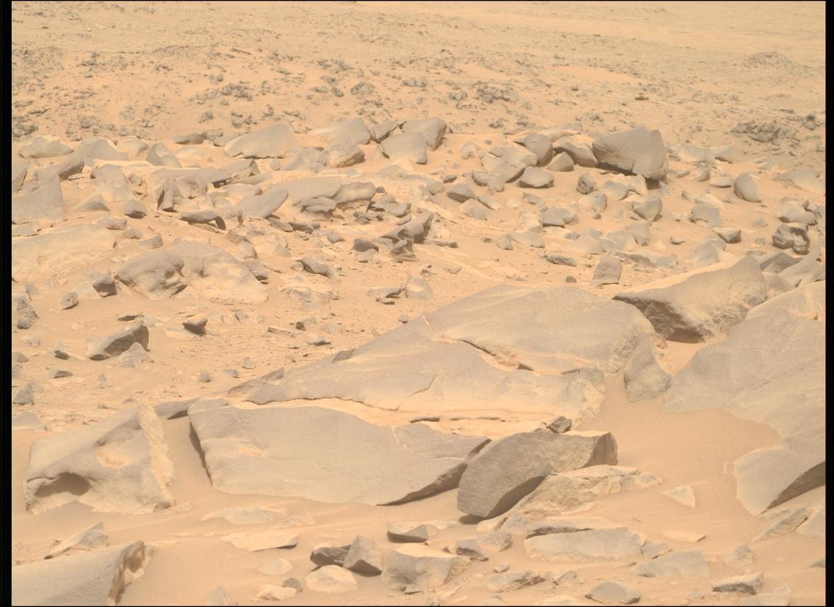 This image was taken by MCZ_RIGHT onboard NASA's Mars rover Perseverance on Sol 1102