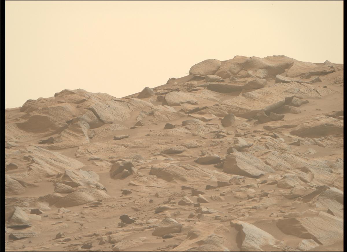 This image was taken by MCZ_RIGHT onboard NASA's Mars rover Perseverance on Sol 1102