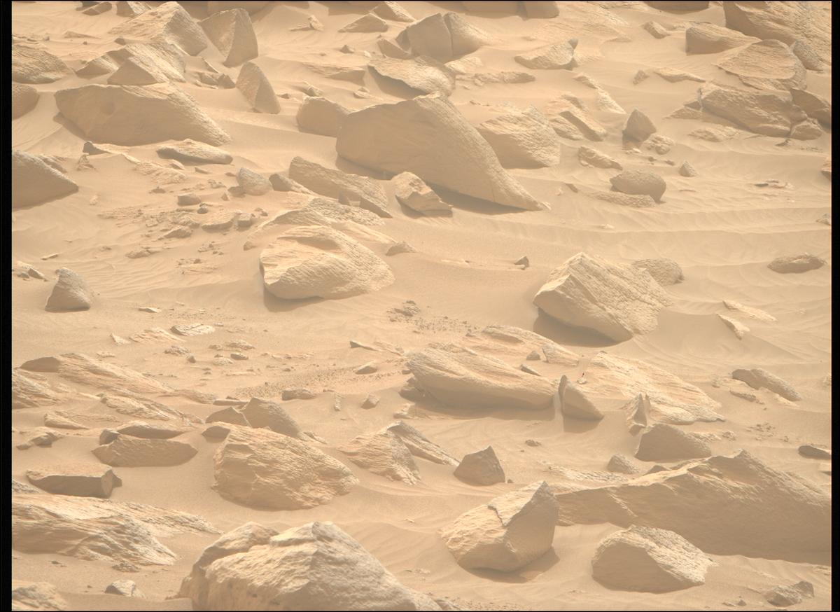 This image was taken by MCZ_RIGHT onboard NASA's Mars rover Perseverance on Sol 1102