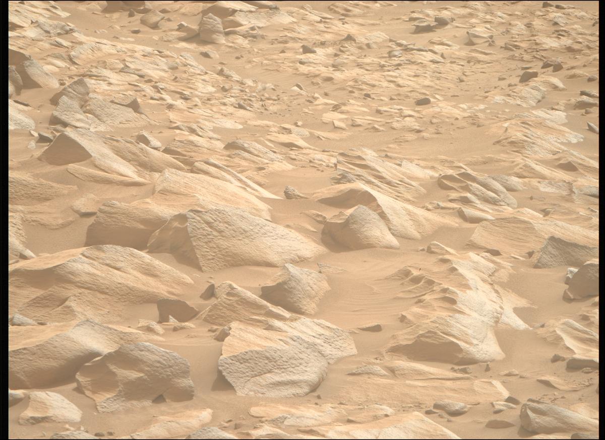 This image was taken by MCZ_RIGHT onboard NASA's Mars rover Perseverance on Sol 1102